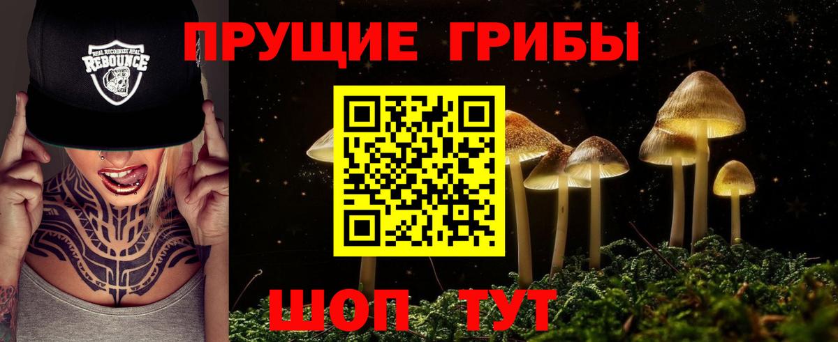 купить  сайты  Вход с VPN  Обнинск  Галлюциногенные грибы Cubensis 